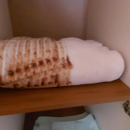 Къща За Гости Ана Иванова Plewen